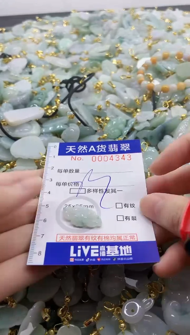 颈饰未镶嵌翡翠天然A货翡翠