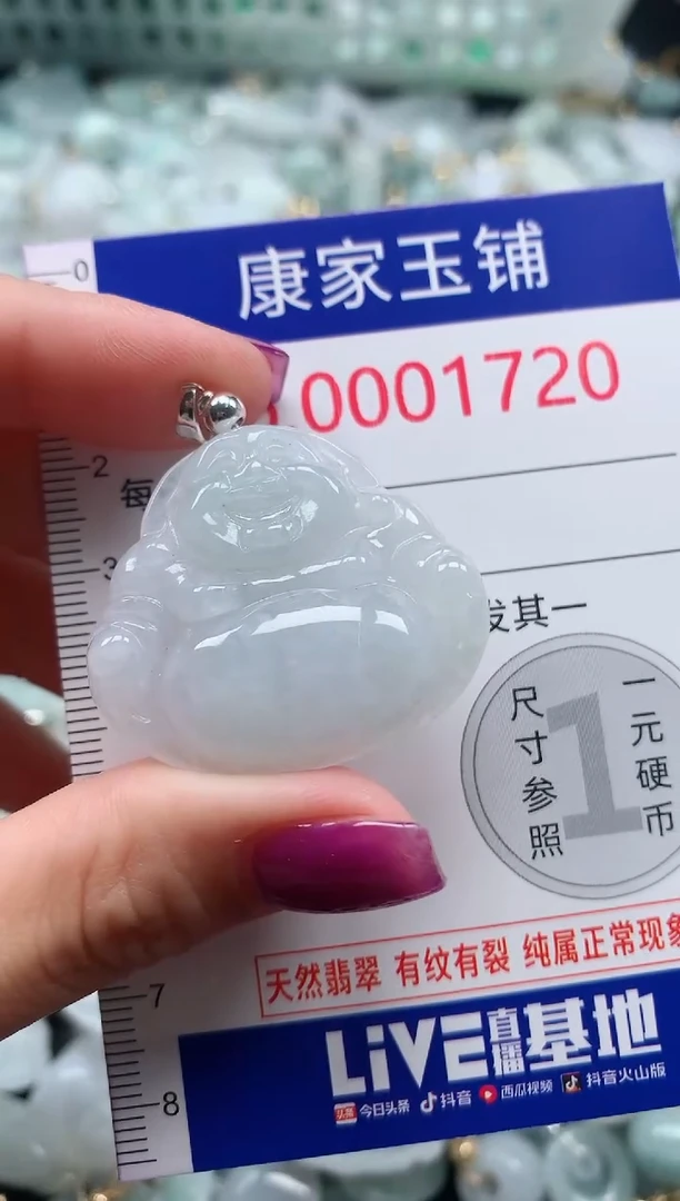 颈饰未镶嵌翡翠1720