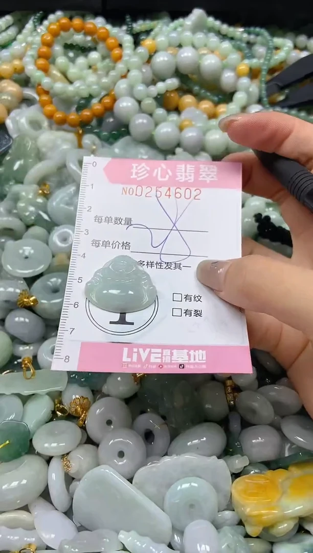 翡翠未镶嵌颈饰闪购0254602