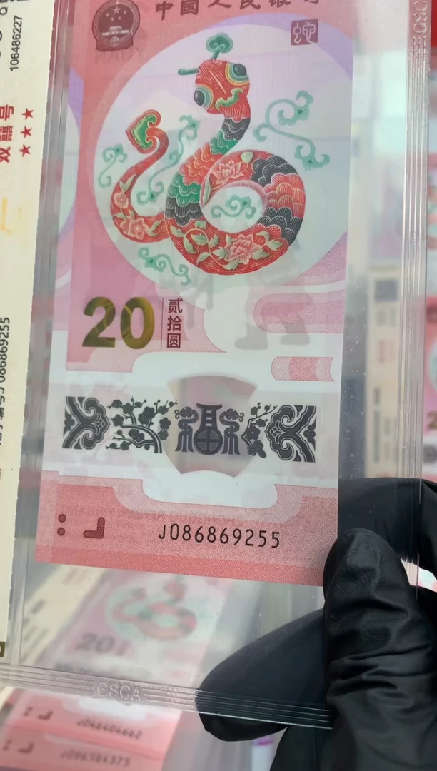 【闪购商品】塑料蛇钞 真钞【单张】9255