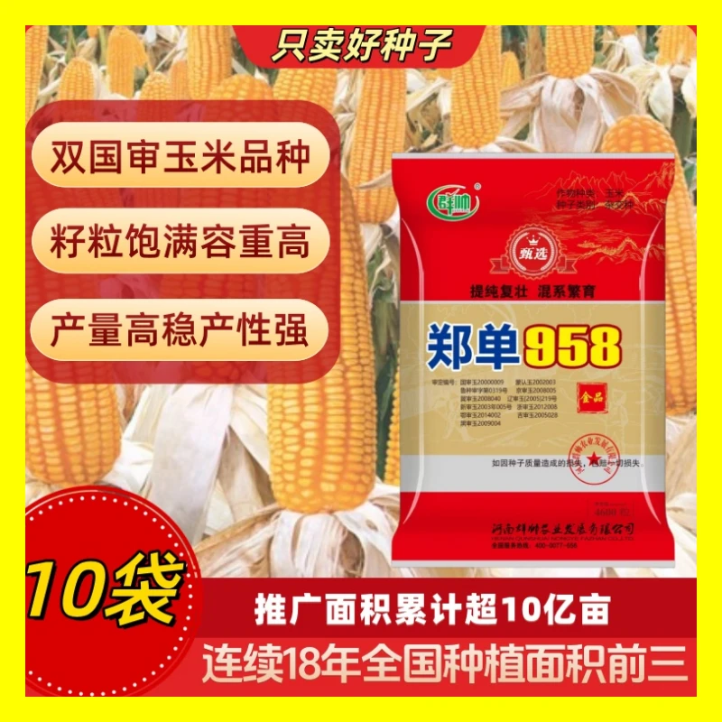 十袋装双国审玉米品种郑单958，十袋46000粒大包装