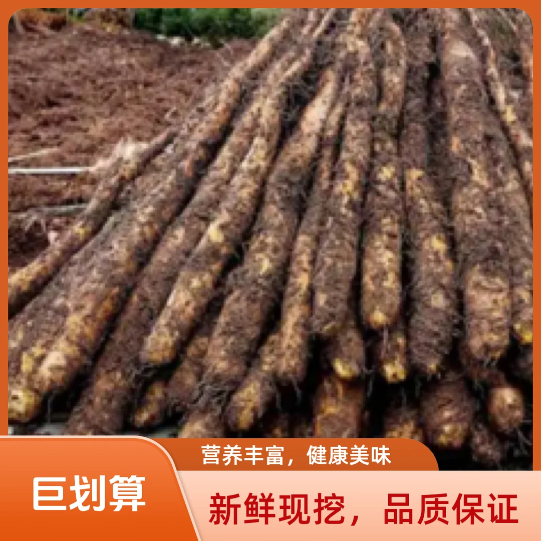 铁棍山药（贵州黔南农家种植）