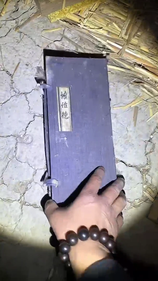 【闪购商品】贝壳手串/手链56啊啊啊啊啊啊啊啊啊