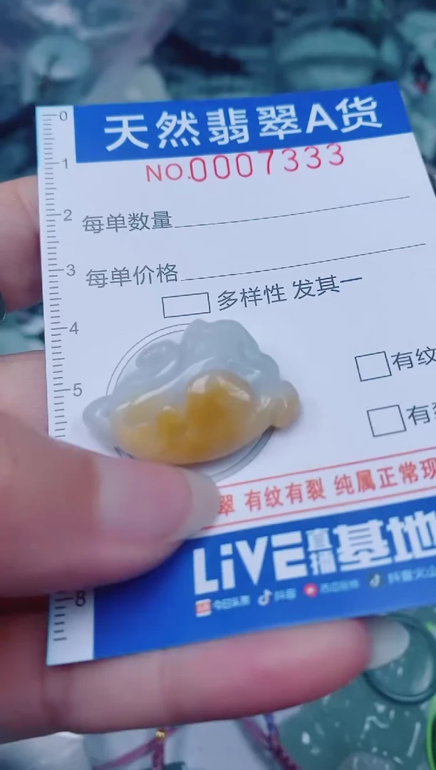 颈饰未镶嵌翡翠00007333