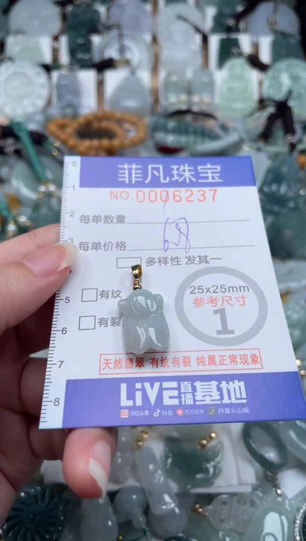 翡翠未镶嵌颈饰00..6237