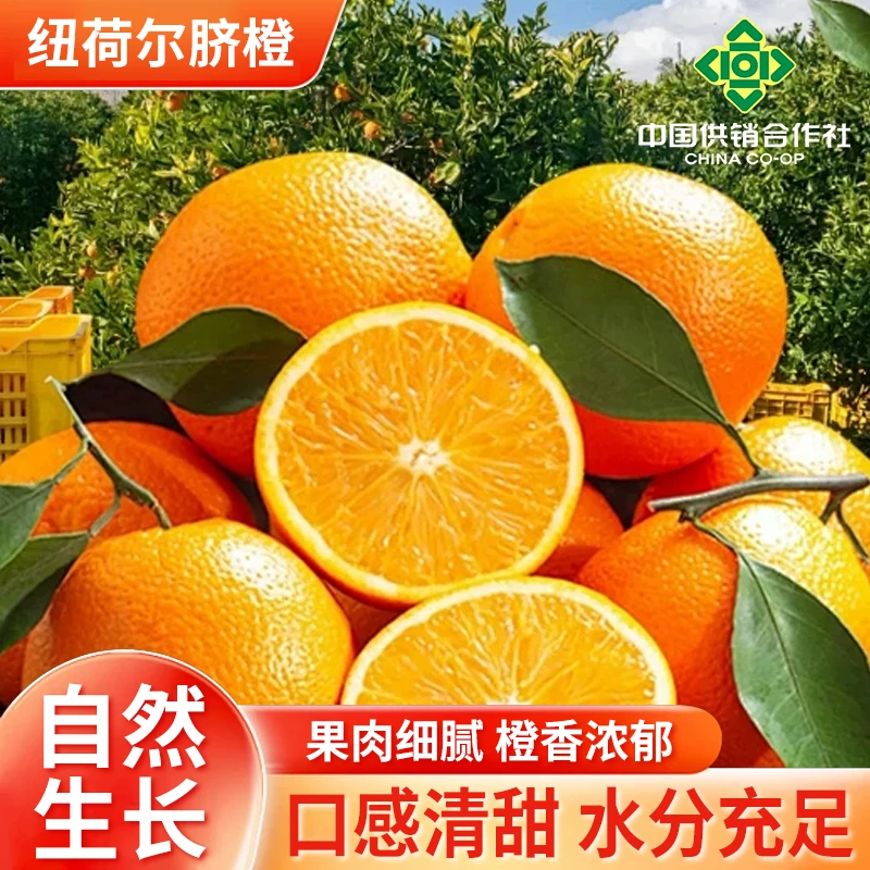 【供销社助农】湖南崀山高山脐橙当季新鲜水果自家农场现摘现发