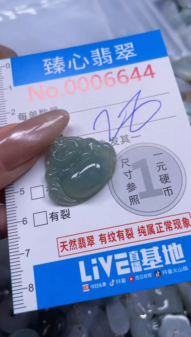 颈饰未镶嵌翡翠6644