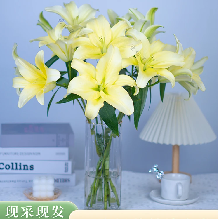 【浩浩鲜花店甄选】黄色香水百合10花苞（3-5枝）云南鲜花源头生花