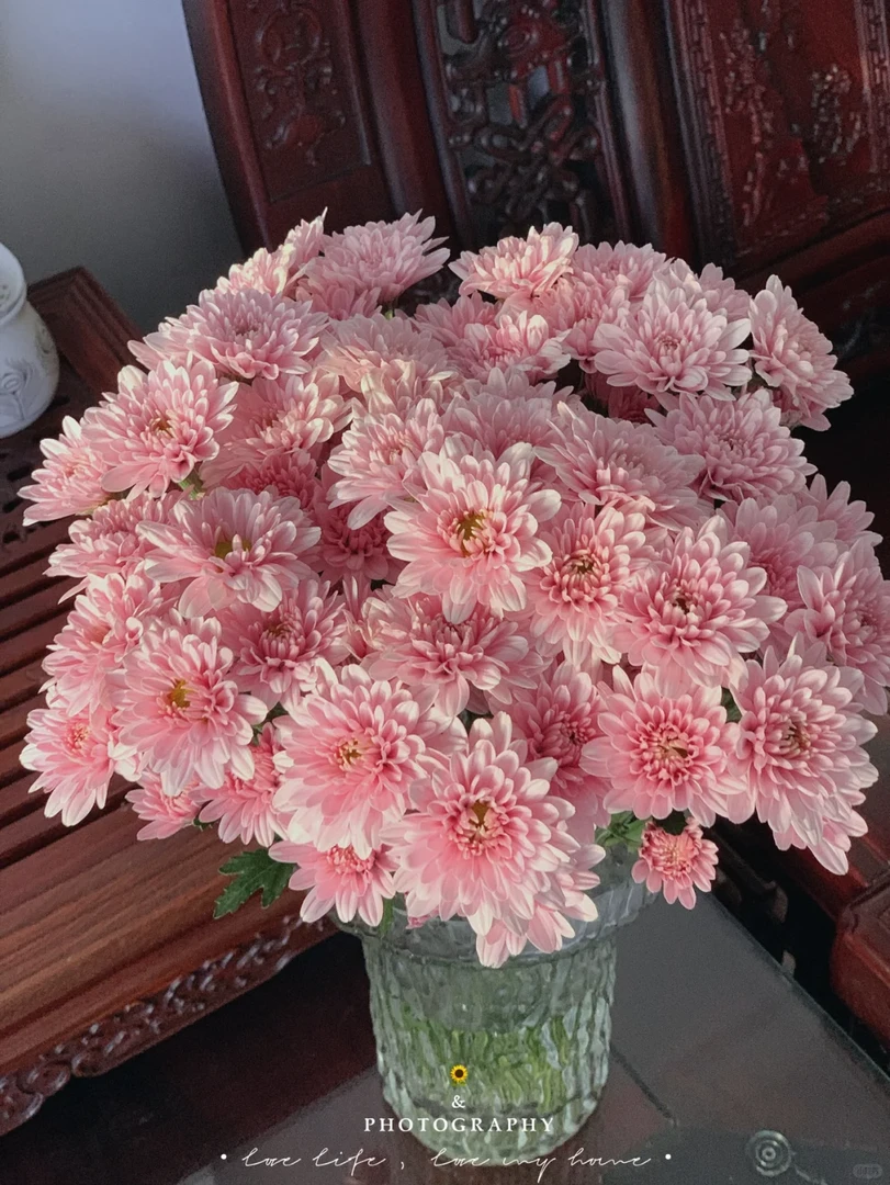 【汉城粉AK】小雏菊10枝 花期久  | 单品全场任意满两单鲜花包邮