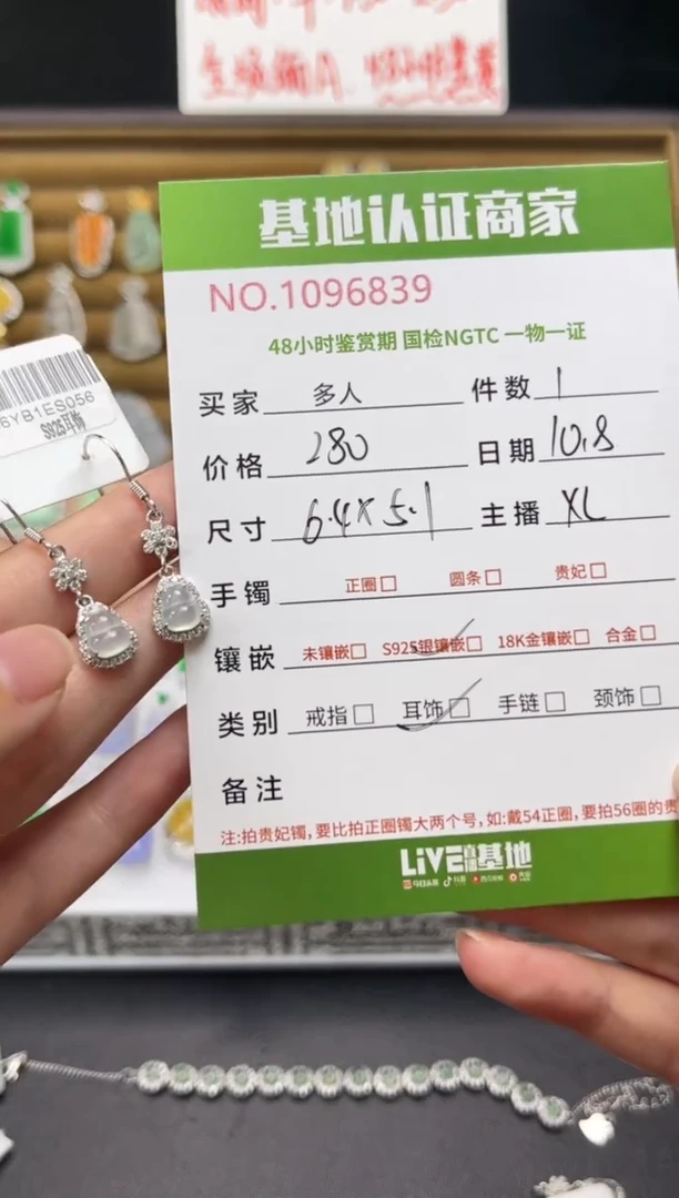 银S925镶嵌翡翠耳饰多人