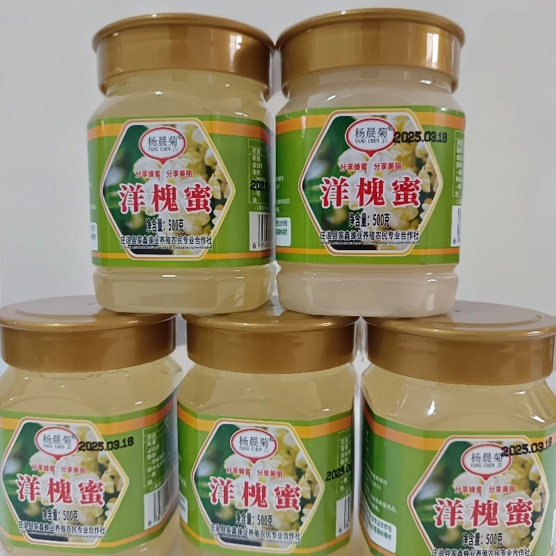 YANGCHENJU/杨晨菊甘肃庄浪县杨晨菊洋槐蜜5瓶5斤农家自产蜂蜜