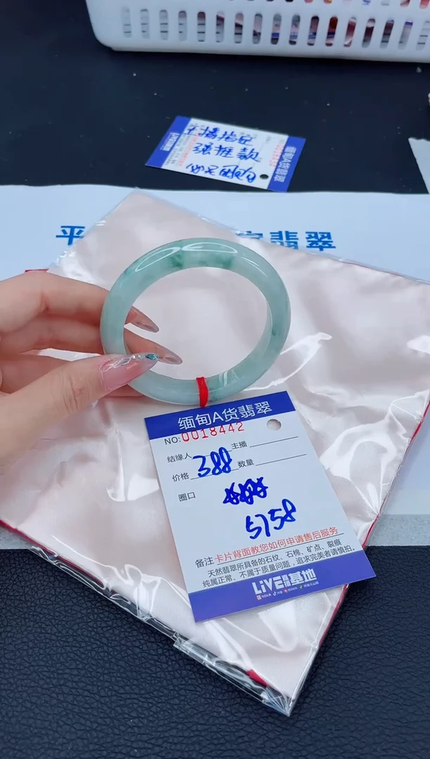 未镶嵌手镯翡翠1T