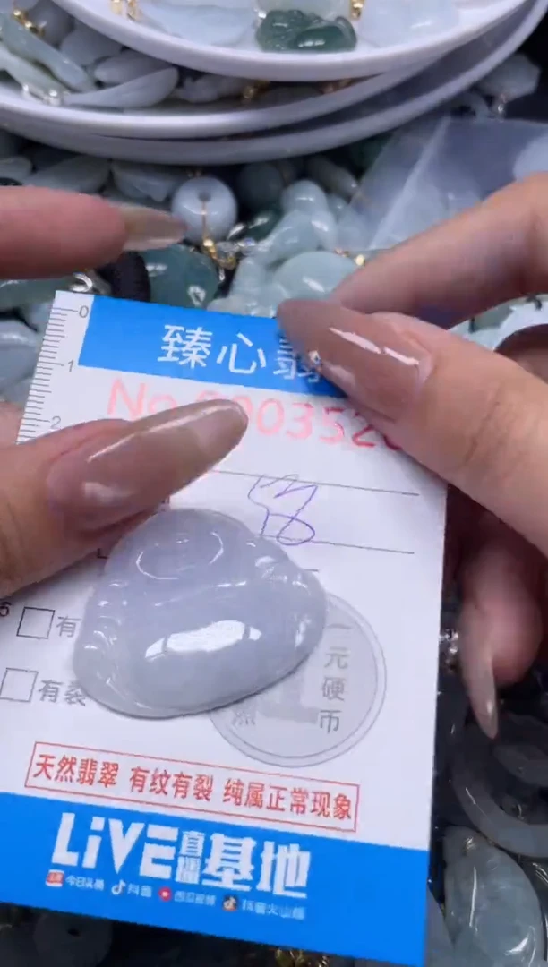 颈饰未镶嵌翡翠3520