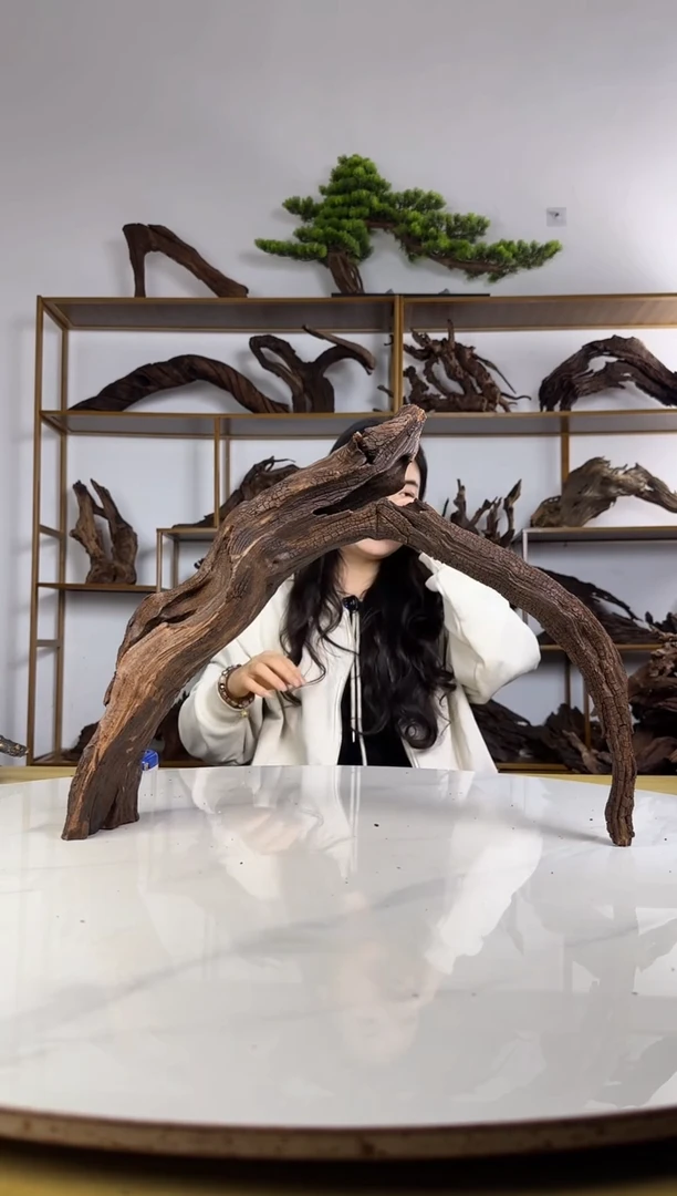 K****.拍沉木定向链接编号11