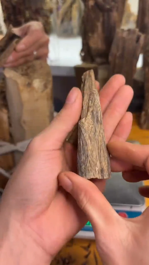 沉香沉香碎屑奇楠沉香11克