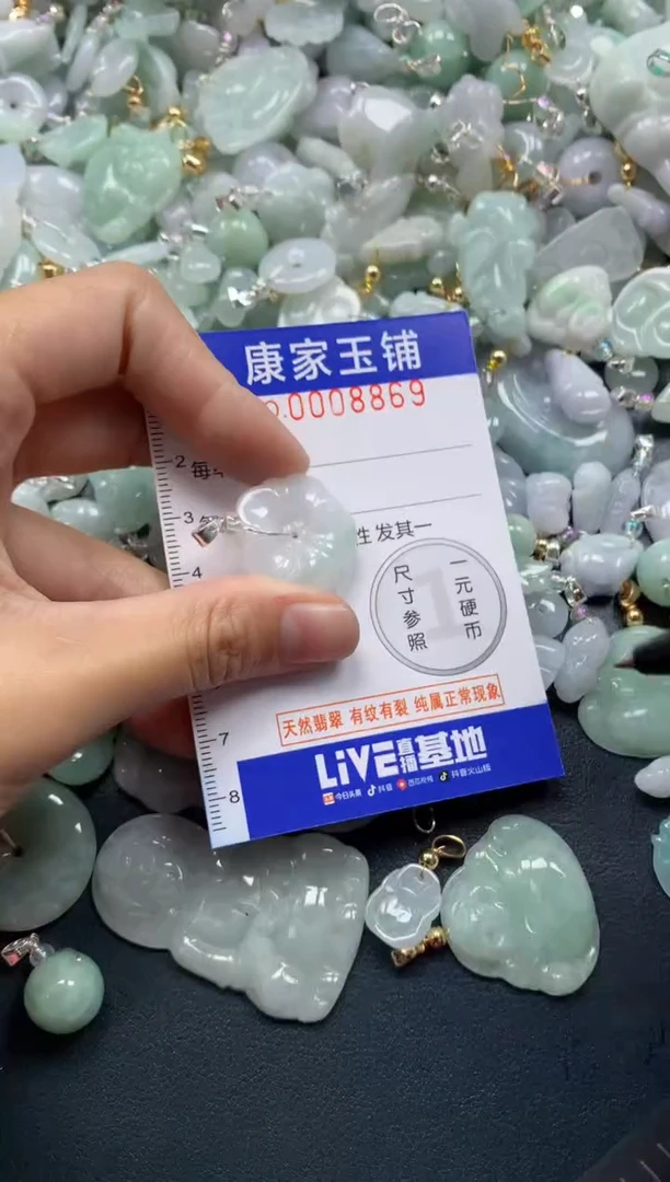 颈饰未镶嵌翡翠8869