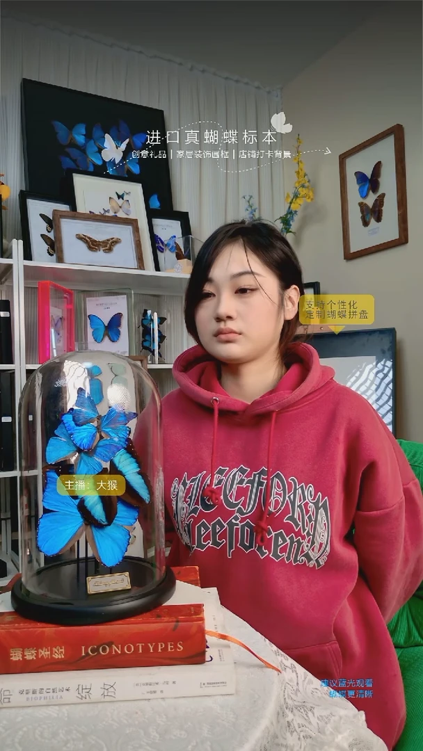 蝴蝶拼盘玻璃罩花与蝶