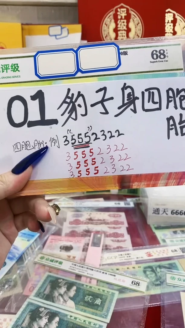 01豹子身四胞胎礼册