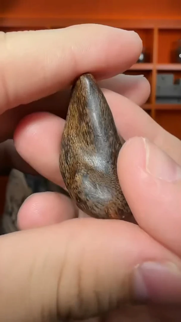 沉香吊坠123号天然野沉水挂件多样性发一