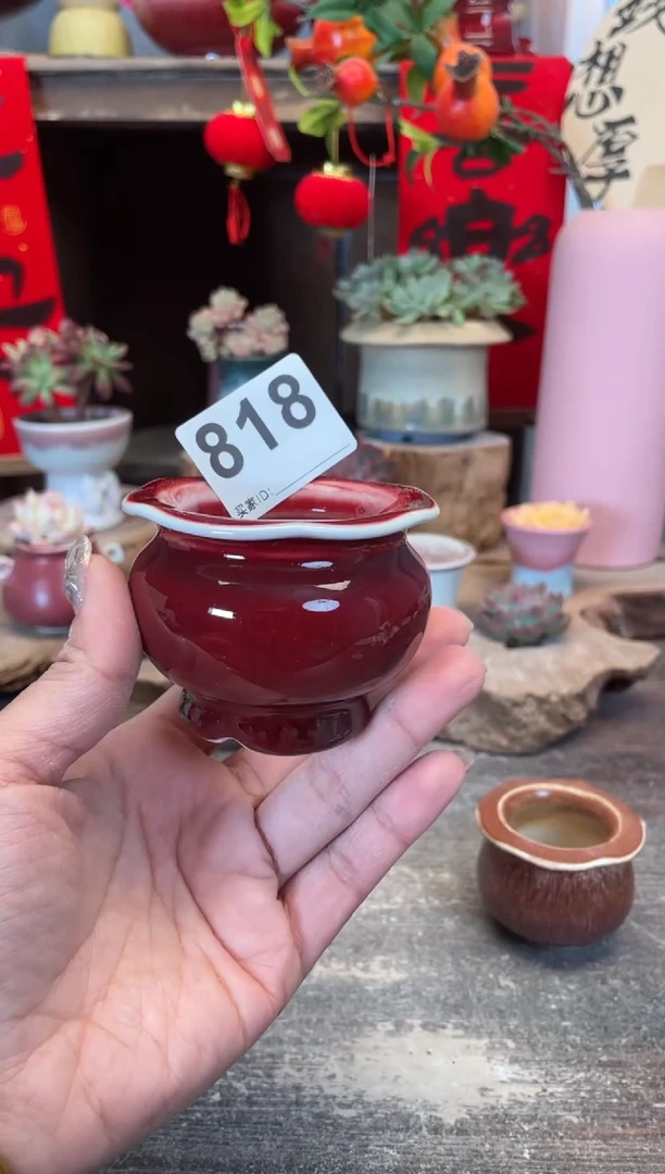 【闪购商品】摆件818福利知木小芳花盆