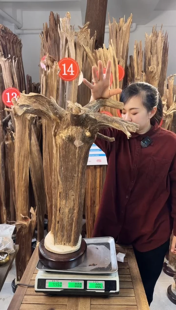 【闪购商品】沉香摆件沉香摆件多样性发一件67