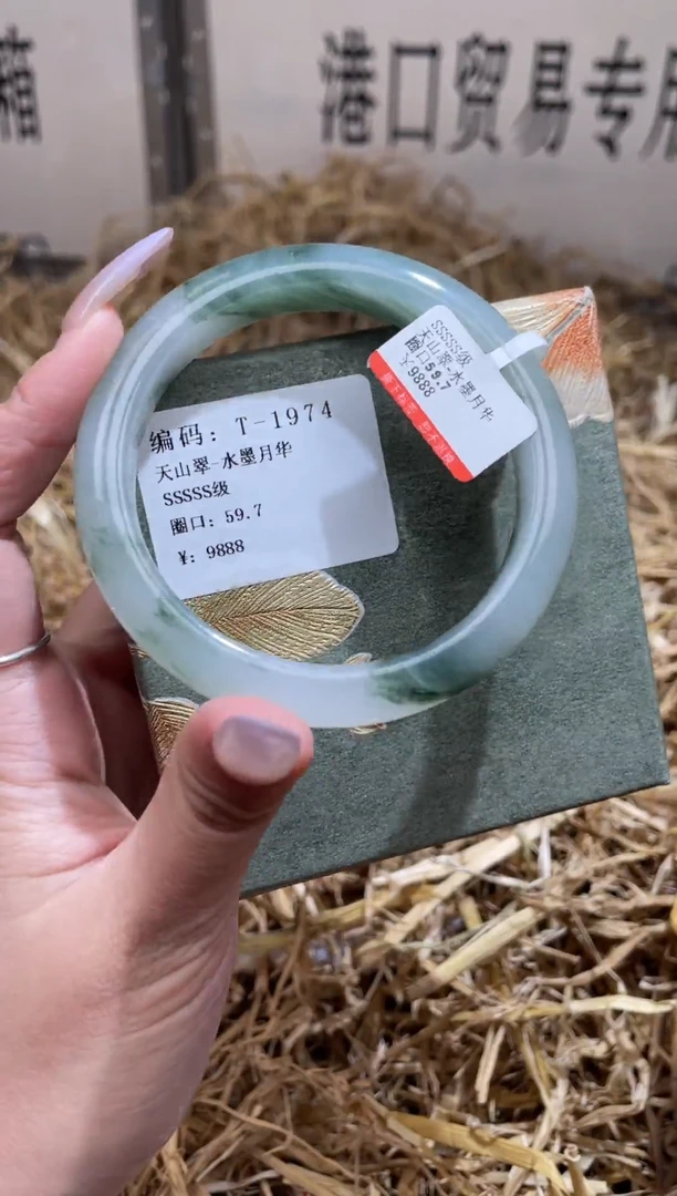 未镶嵌手镯石英质玉T1974LV
