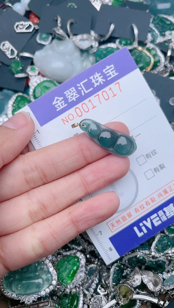 【闪购商品】翡翠颈饰未镶嵌17017...1