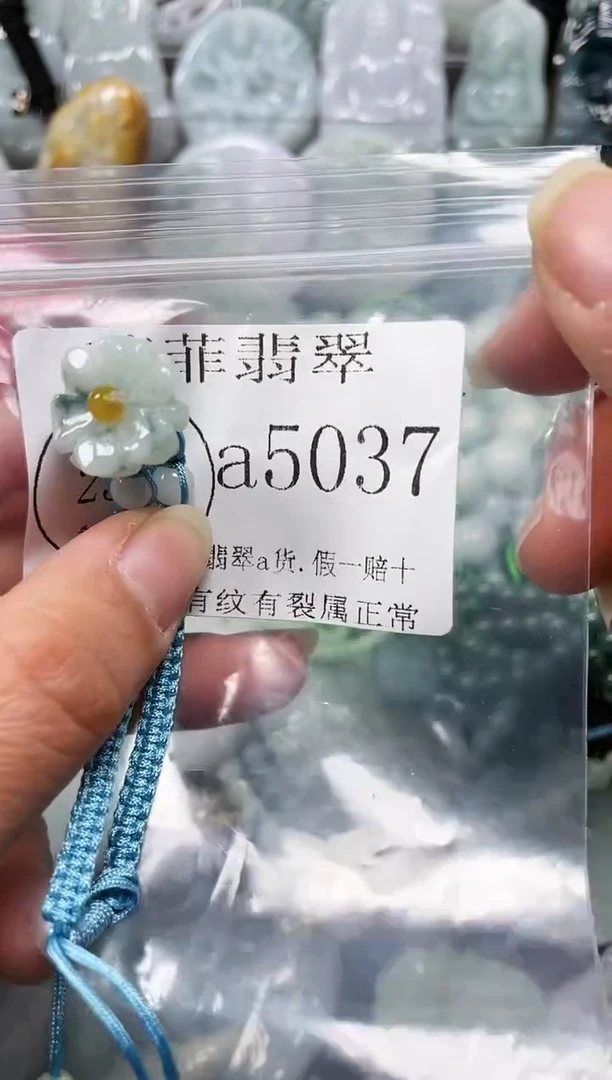【闪购商品】翡翠颈饰未镶嵌闪购5037