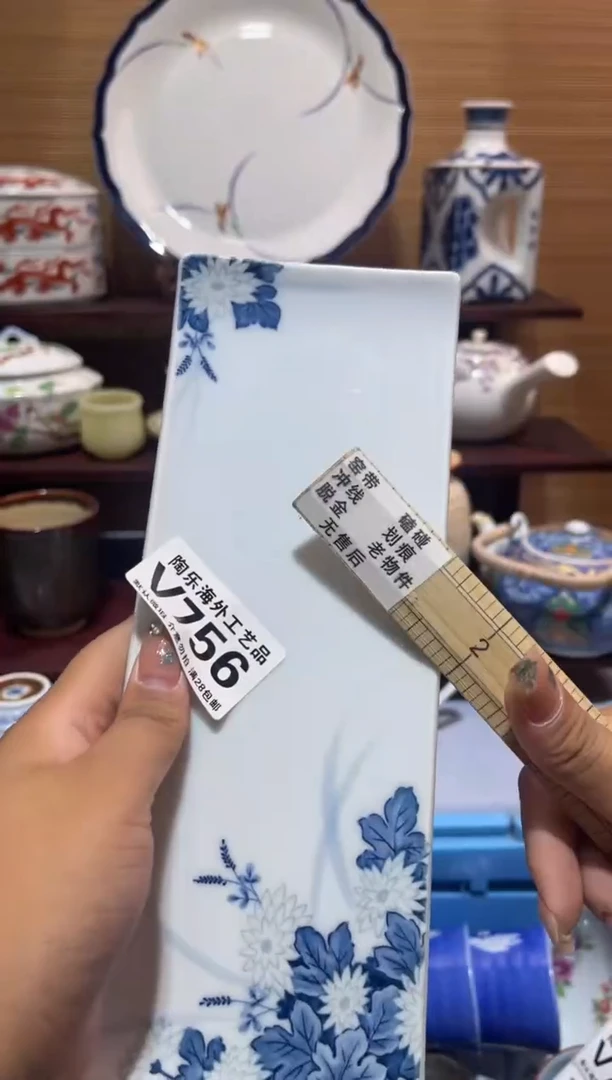 其他清**袋          v756