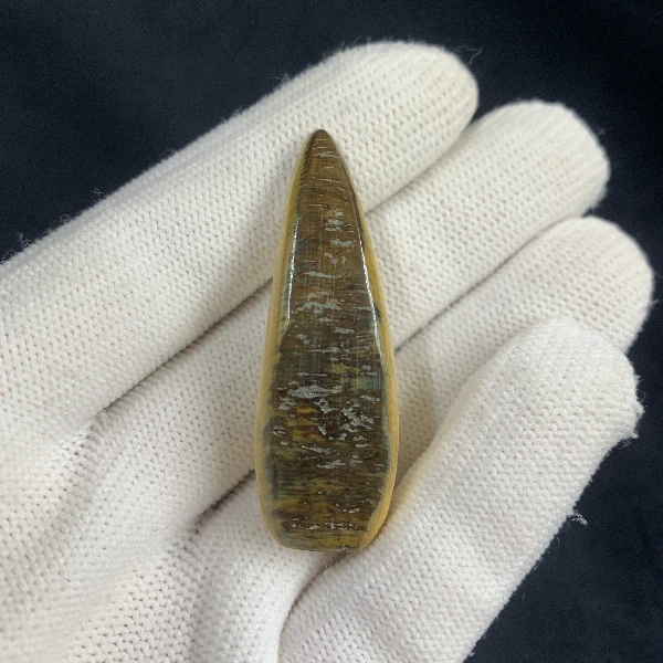 B6431天然猛犸牙精品牙尖 支持鉴定 假一罚四
