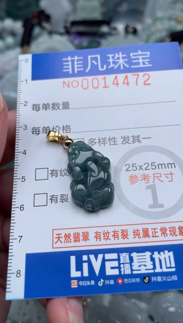 颈饰未镶嵌翡翠14472