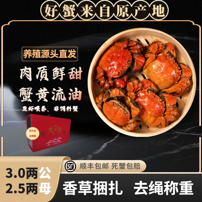 3.0两公＋2.5两母8只蟹精品大闸蟹兴化湖螃蟹活蟹顺丰包邮到家