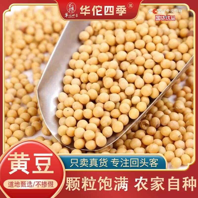 华佗四季黄豆 东北颗粒饱满无硫无熏农家自种豆浆豆芽大豆