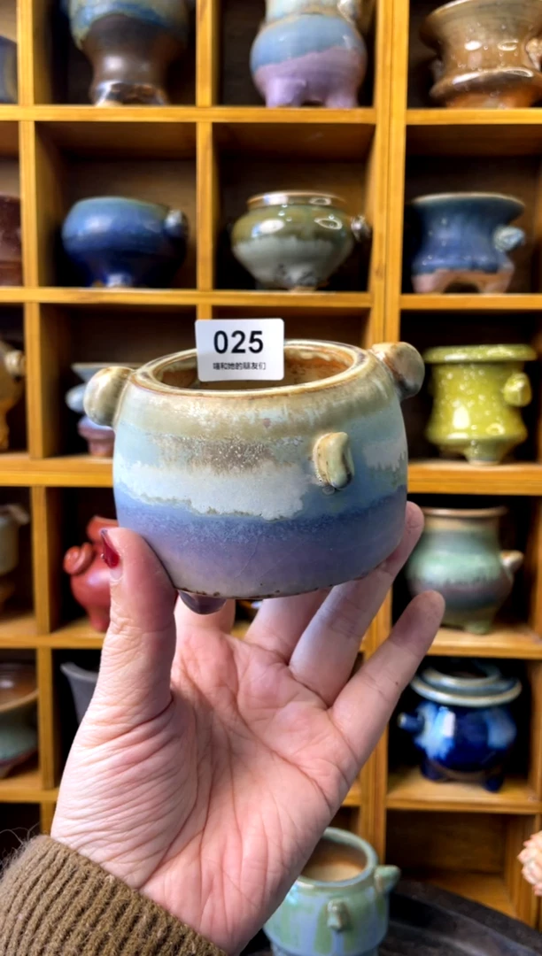 【闪购商品】陶微瑕025 内口6【 来自成人礼的特 】