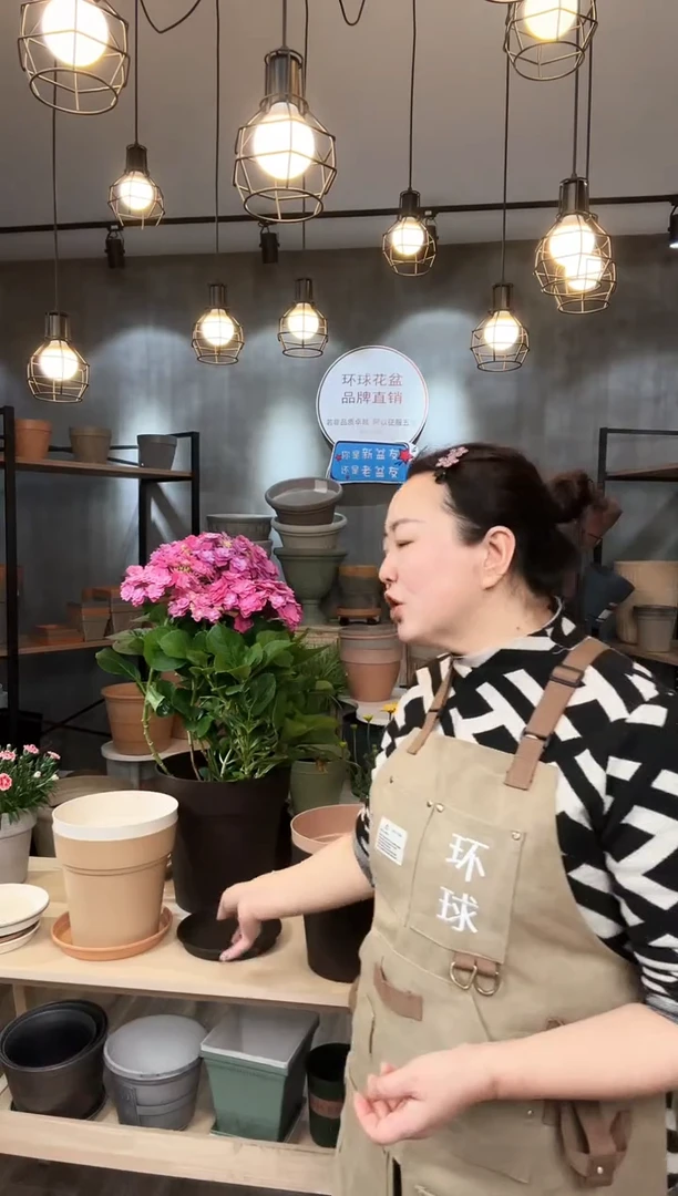 【闪购商品】塑料佛蒙特280一套220米色一套咖驼色两套