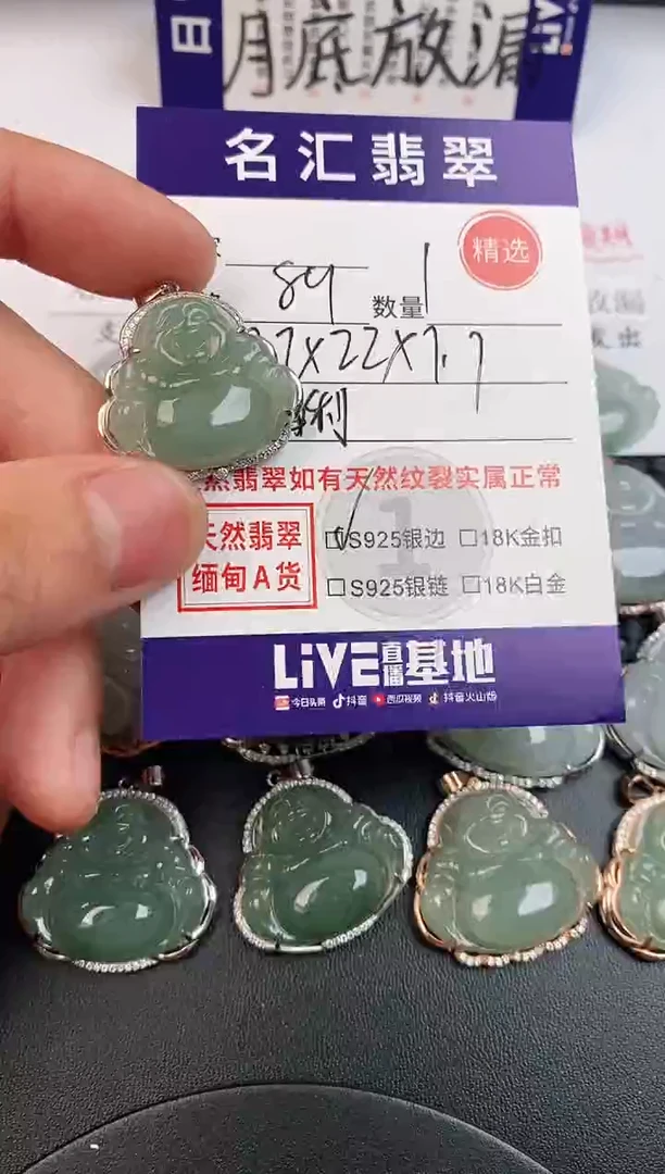 翡翠银S925镶嵌颈饰·
