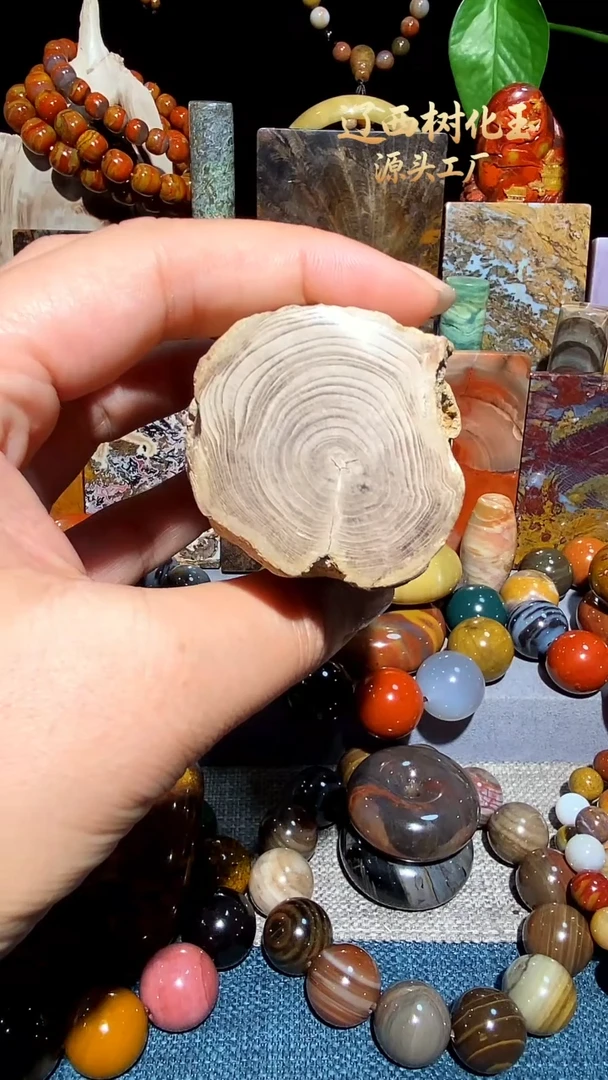 未镶嵌-硅化玉天然北票硅化玉原石