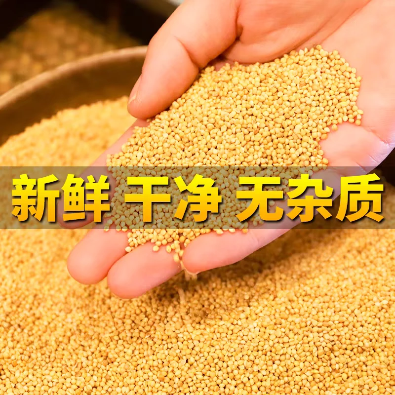 虎皮鹦鹉精选专用营养鸟粮鸟食养殖场专用