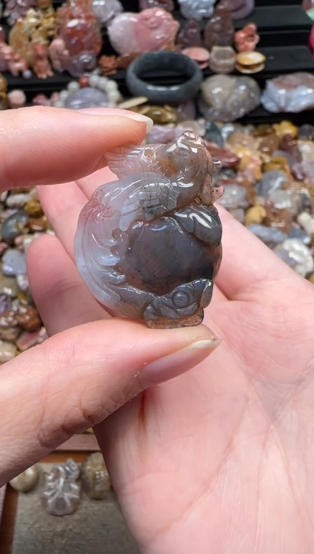 颈饰未镶嵌硅化珊瑚（珊瑚玉）850