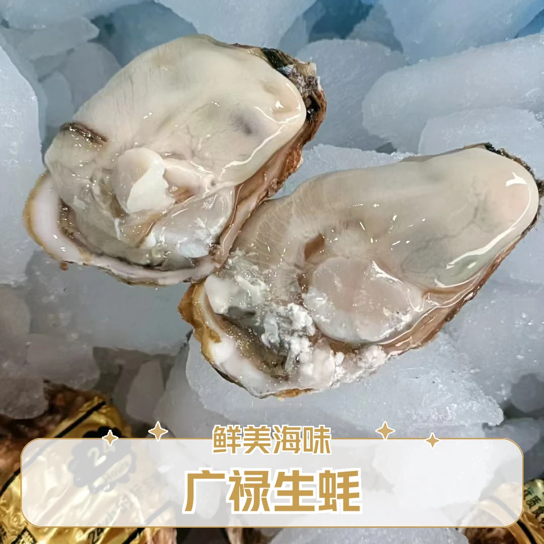 广禄海鲜优品生蚝（单斤 3 个左右）