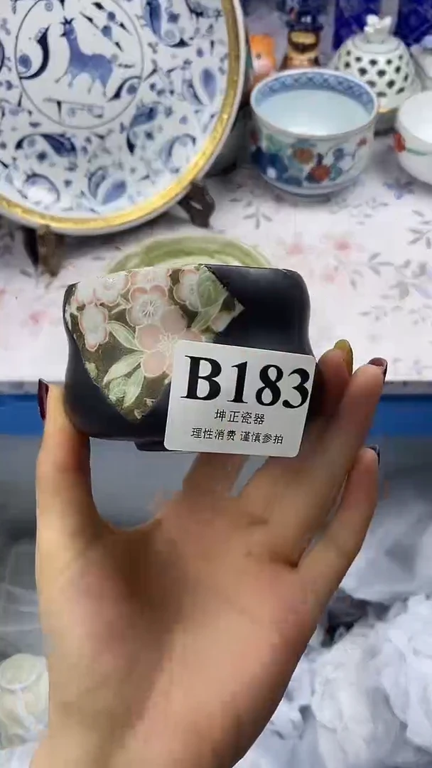 瓷片          B183