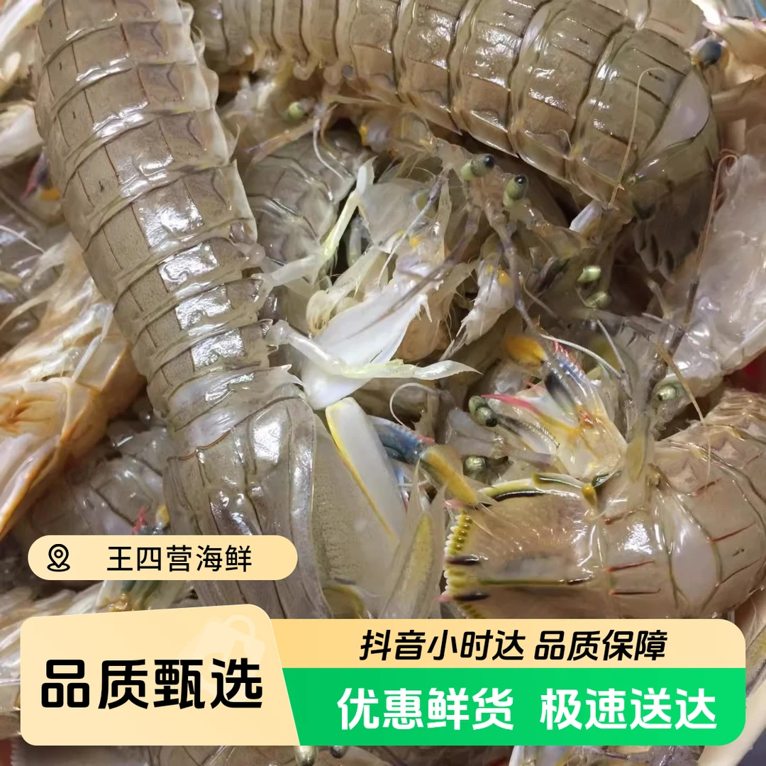 【特价】鲜活海蟹+皮皮虾混搭装（个别掉腿属于正常）保鲜不包活