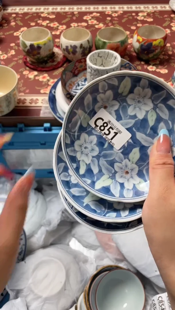 瓷片虫*咔瓷器瓷器C851