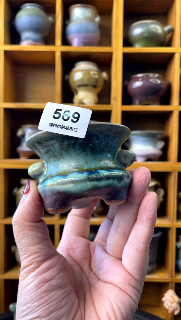 【闪购商品】陶569