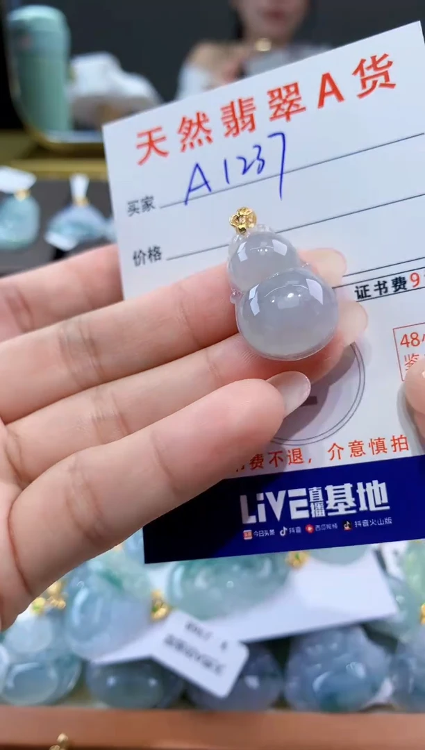 颈饰未镶嵌翡翠天然翡翠A货挂件