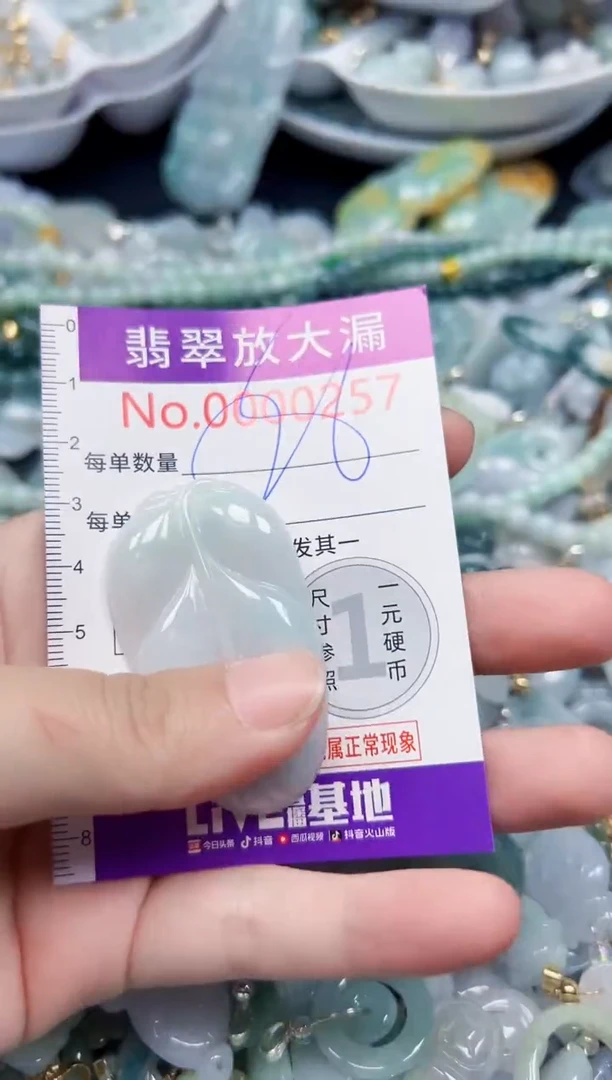 颈饰未镶嵌翡翠257