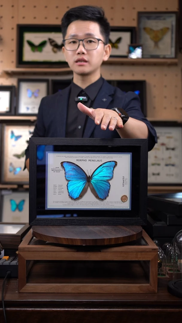 蓝闪悬浮款A4黑色平面框带证书