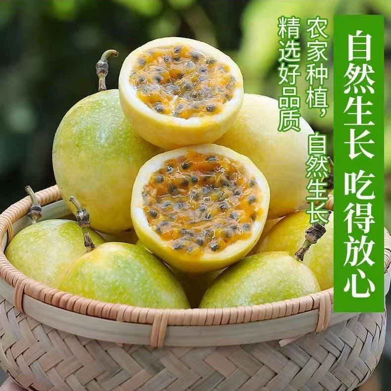 【坏果包赔】钦蜜9号黄金百香果香甜多汁现摘现发