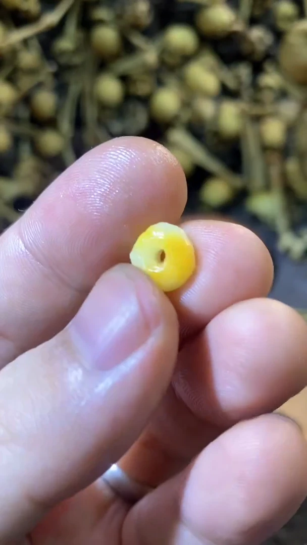 【闪购商品】琥珀颈饰未镶嵌62蜜蜡无相隔珠卡子