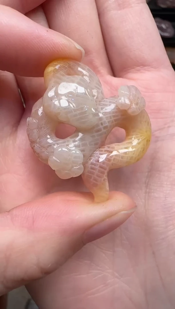 颈饰未镶嵌硅化珊瑚（珊瑚玉）342